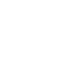 white illustrated shield